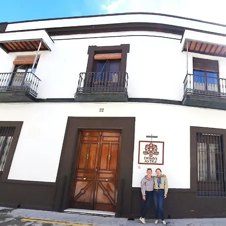 Inn Casa Palacio Domus Astigi (adults Only)