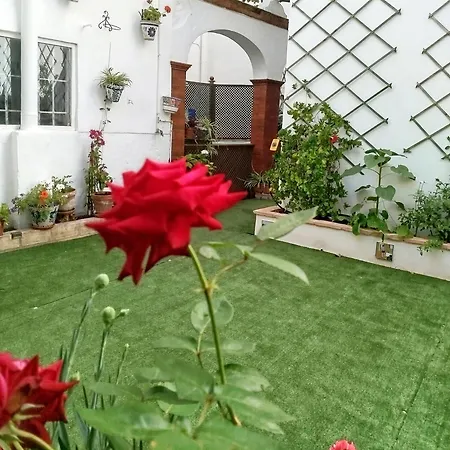 여관 Casa Palacio Domus Astigi (adults Only) 3*